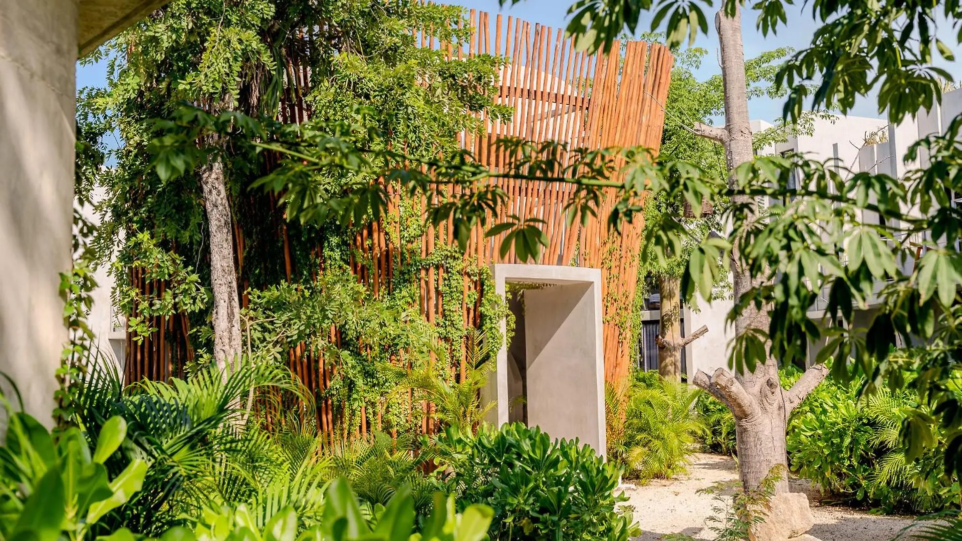 Selva Studios By Casago Tulum 0*,